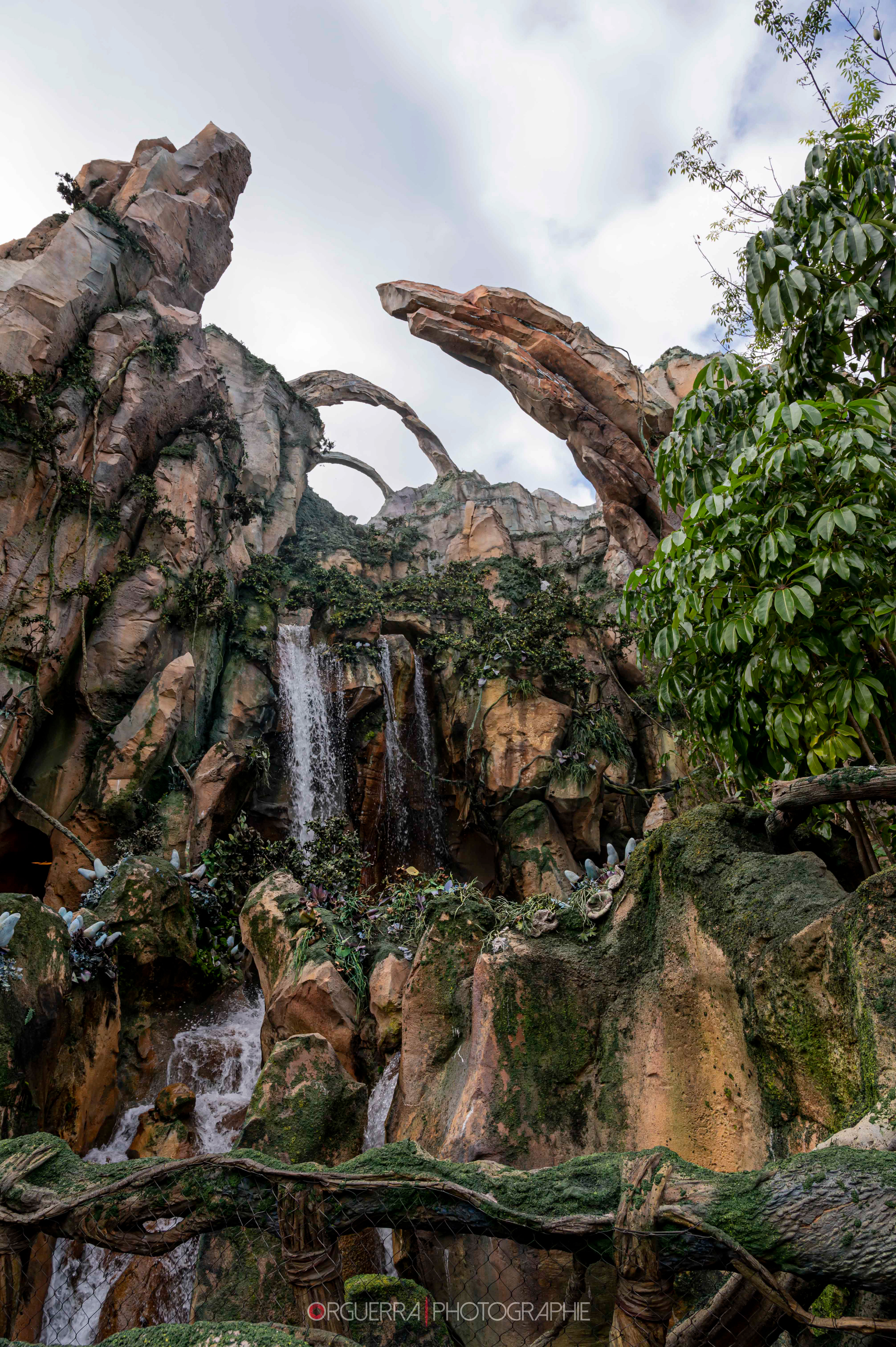 Magic Kingdom | Walt Disney World